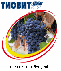 Фунгицид Тиовит Джет, ВДГ