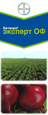 Бетанал Эксперт ОФ