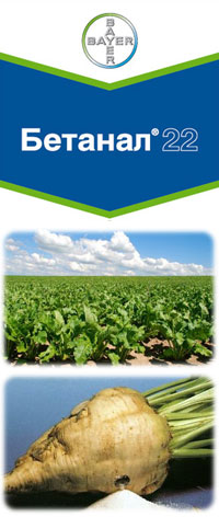 Бетанал 22