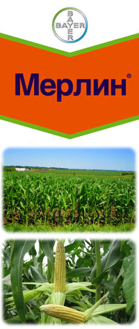 Гербицид Мерлин