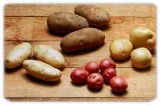 Сорта семенного картофеля